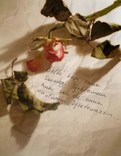 Sevmeyi Öğretememek, Unutmayı Öğrenememek...