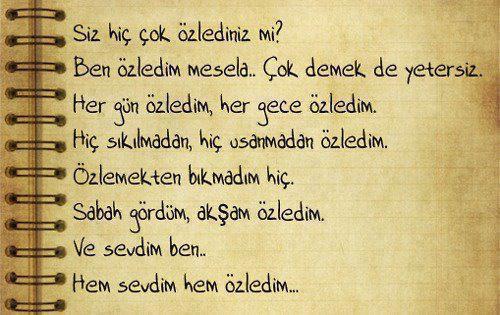Hem Sevdim Hem Özledim