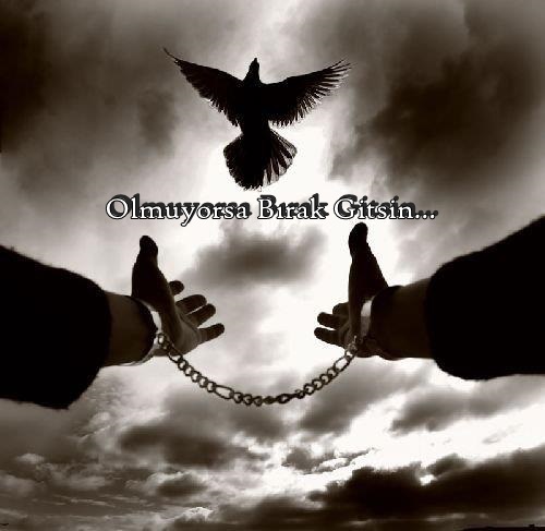 Olmuyorsa-birak-gitsin.jpg (500×487)