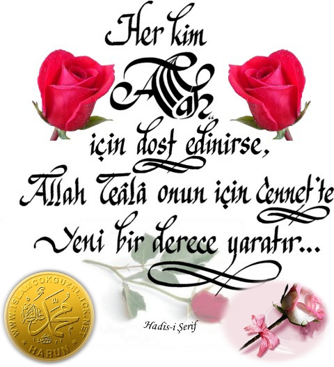 Seçme Hadisler - Hadis Arşivi Seçme Hadisler - Hadis Arşivi