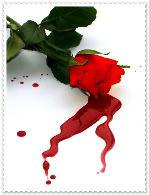 neden-.jpg (482×631)